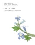 画像1: アーカイブ動画視聴　オンラインワークショップ BOTANICAL IĞNEOYA vol.2  「クサボタン」 (1)