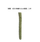 画像3: 5月31日まで/アーカイブ動画視聴：オンラインワークショップ BOTANICAL IĞNEOYA vol.3  「ヤドリギ・宿り木」 (3)