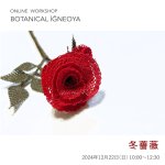 画像1: アーカイブ動画視聴：オンラインワークショップ BOTANICAL IĞNEOYA vol.4  「冬薔薇」 (1)