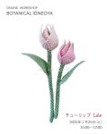 画像1: オンラインワークショップ BOTANICAL IĞNEOYA vol.5 「チューリップ🌷Lale」 (1)