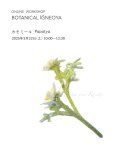 画像2: オンラインワークショップ BOTANICAL IĞNEOYA vol.6 「カモミール Papatya」 (2)