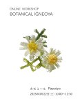 画像1: オンラインワークショップ BOTANICAL IĞNEOYA vol.6 「カモミール Papatya」 (1)