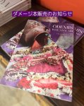 画像1: OUTLET販売  オデミシュのイーネオヤ　208種のモチーフと作り方14種（国際＋国内送料込み) (1)