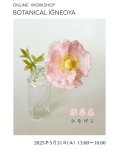 画像2: オンラインワークショップ BOTANICAL IĞNEOYA vol.8「雛罌粟 ひなげし」 (2)