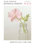 画像3: オンラインワークショップ BOTANICAL IĞNEOYA vol.8「雛罌粟 ひなげし」 (3)
