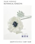 画像1: オンラインワークショップ BOTANICAL IĞNEOYA vol.8「雛罌粟 ひなげし」 (1)