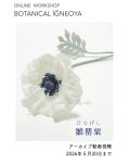 画像1: 2026年5月20日までアーカイブ動画視聴・オンラインワークショップ BOTANICAL IĞNEOYA vol.8「雛罌粟 ひなげし」 (1)
