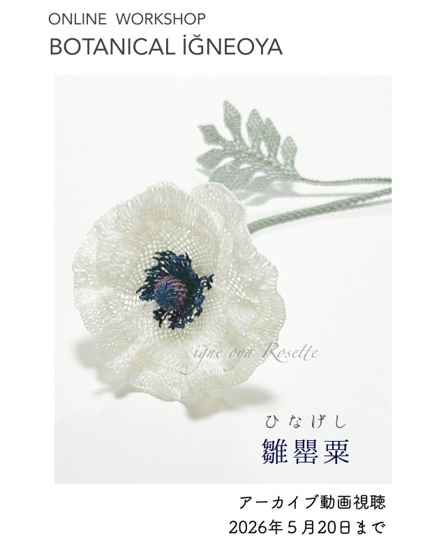 画像1: 2026年5月20日までアーカイブ動画視聴・オンラインワークショップ BOTANICAL IĞNEOYA vol.8「雛罌粟 ひなげし」 (1)