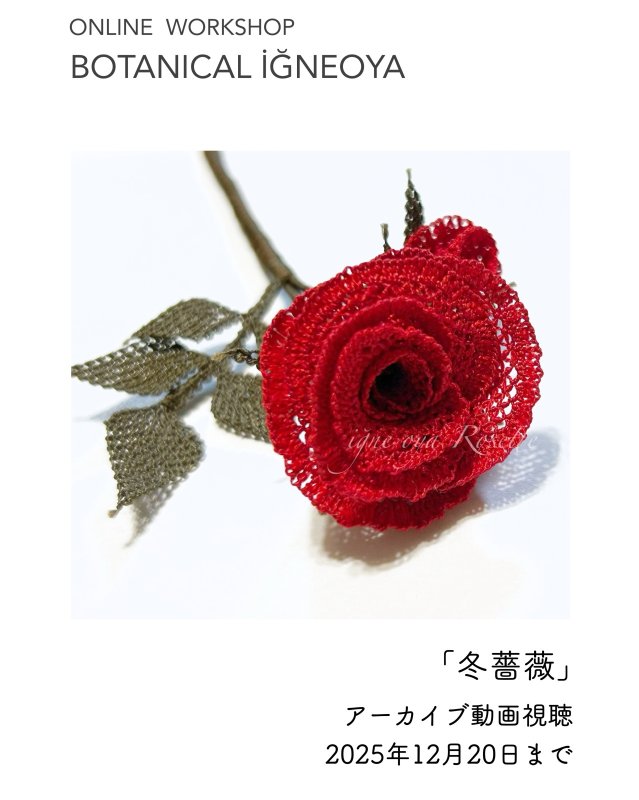 画像1: 2025年12月20日までアーカイブ動画視聴：オンラインワークショップ BOTANICAL IĞNEOYA vol.4  「冬薔薇」 (1)