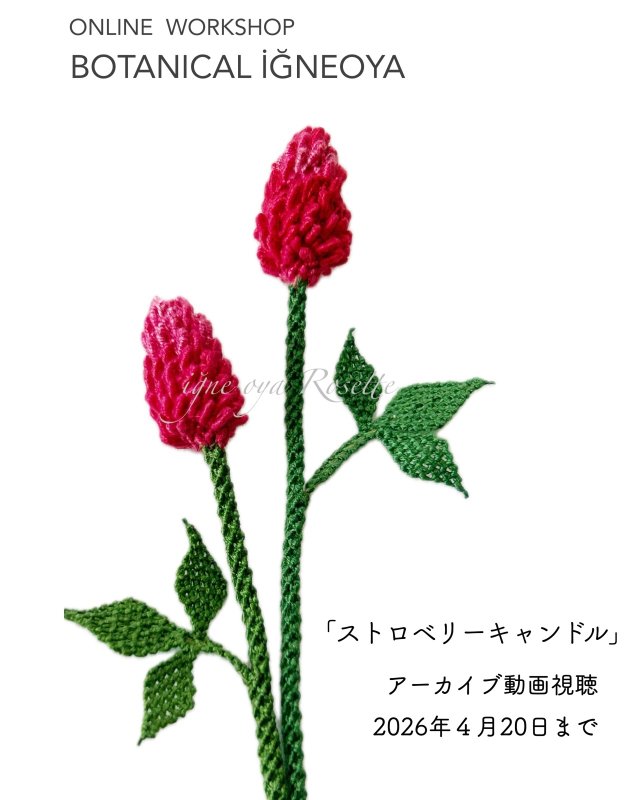 画像1: 2026年4月20日までアーカイブ動画視聴・オンラインワークショップ BOTANICAL IĞNEOYA vol.7 「ストロベリーキャンドル」 (1)