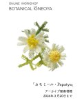 画像1: 2026年3月20日までアーカイブ動画視聴・オンラインワークショップ BOTANICAL IĞNEOYA vol.6 「カモミール Papatya」 (1)