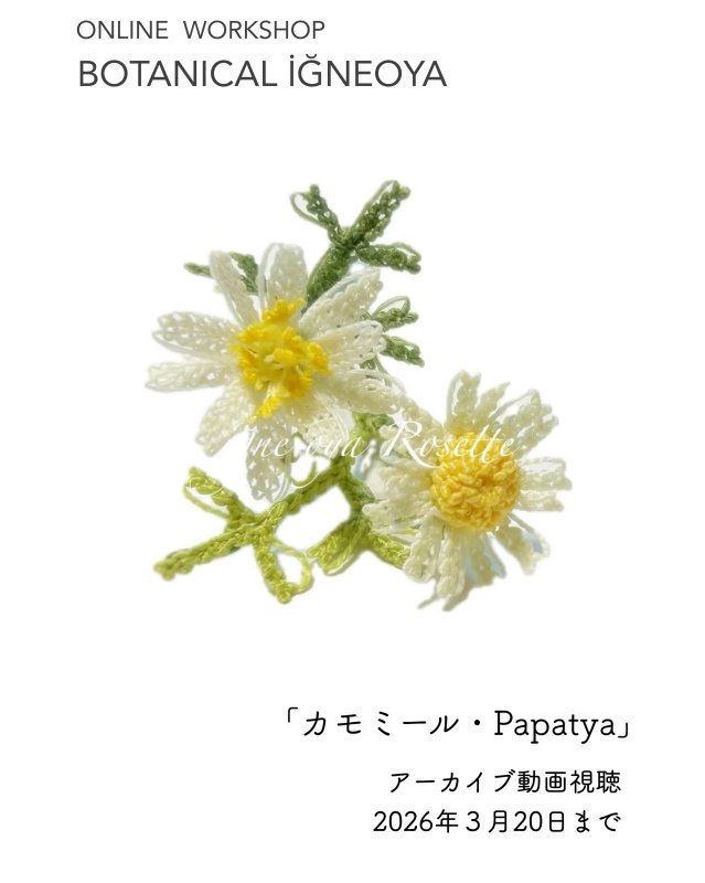 画像1: 2026年3月20日までアーカイブ動画視聴・オンラインワークショップ BOTANICAL IĞNEOYA vol.6 「カモミール Papatya」 (1)