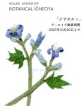 画像1: 2025年10月20日まで/アーカイブ動画視聴　オンラインワークショップ BOTANICAL IĞNEOYA vol.2  「クサボタン」 (1)